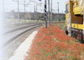 Tutela della salute e sicurezza dei lavoratori in ambito ferroviario