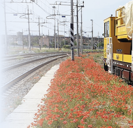 Tutela della salute e sicurezza dei lavoratori in ambito ferroviario